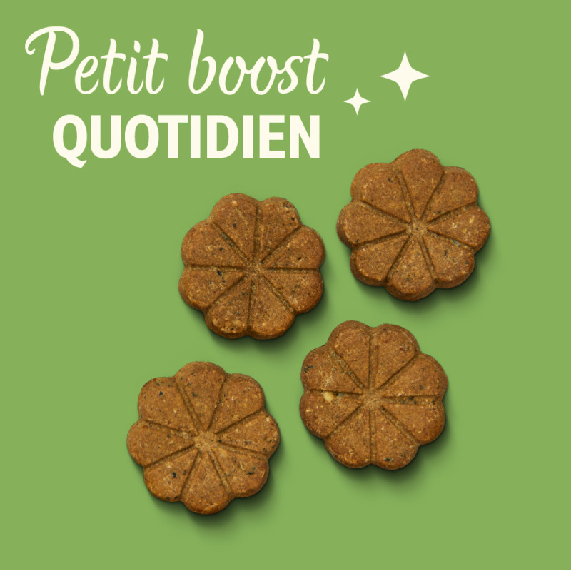 Biscuits Bio au foie de boeuf Lily's Kitchen