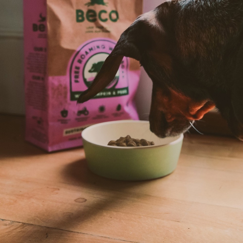Gamelle bambou Beco Pets lifestyle 2