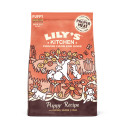 Croquettes pour chiots Sans Céréales Poulet et Saumon Lily's Kitchen 2,5kg
