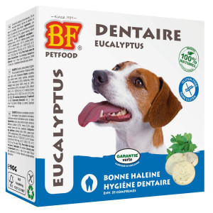 Soin du chien et hygiène