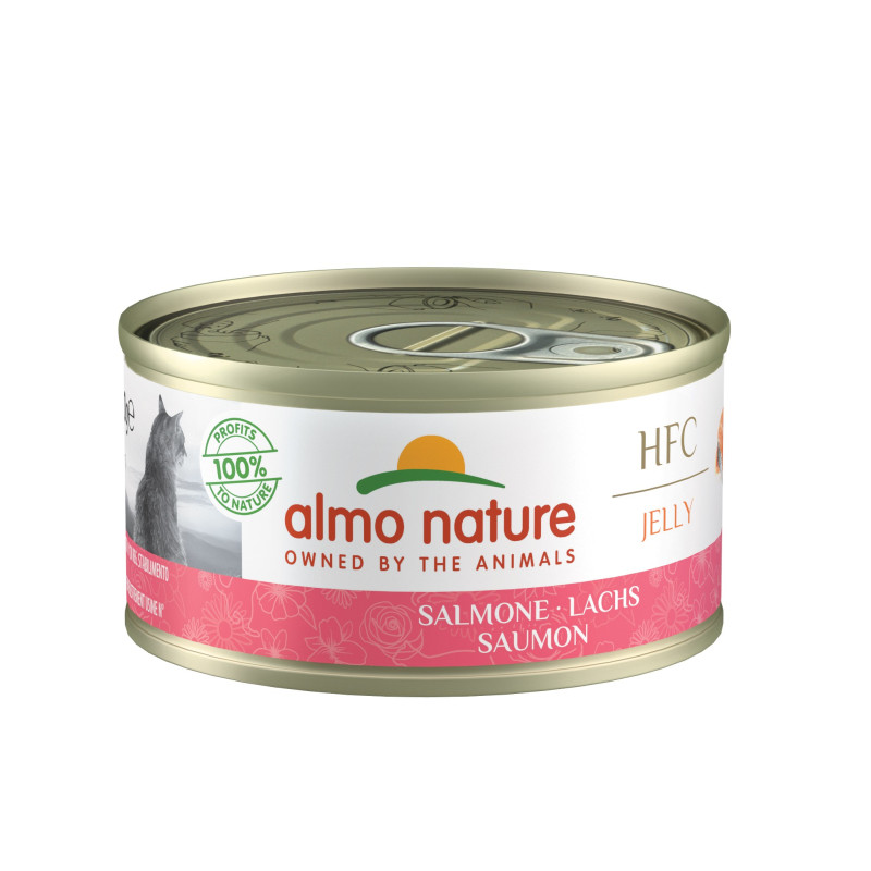 HFC Natural 70g saumon