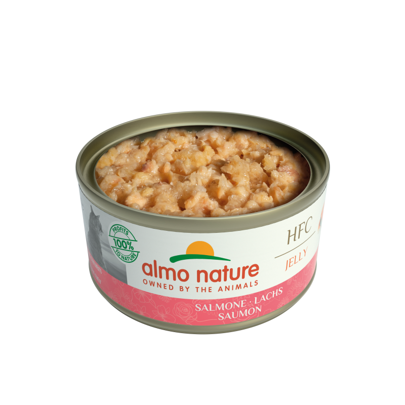 HFC Natural 70g saumon ouverte