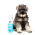 Playfull pup body mist - hownd with dog