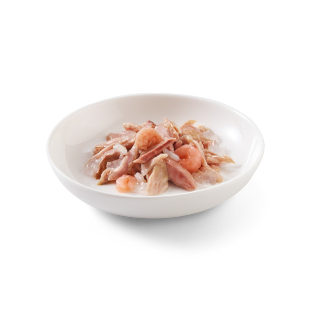 Schesir exclu web - Pack de 6 boites x 85g chat en gelée Thon crevettes assiette