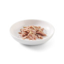 Schesir exclu web - Pack de 6 boites x 85g chat en gelée Thon blanchailles assiette
