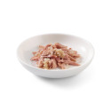 Schesir exclu web - Pack de 6 boites x 85g chat en gelée Thon quinoa assiette