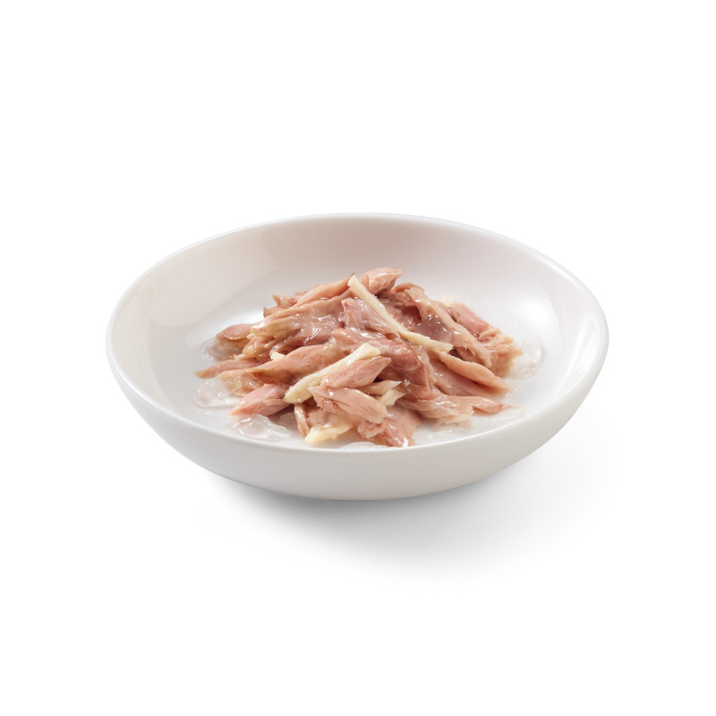 Schesir exclu web - Pack de 6 boites x 85g chat en gelée thon filets poulet assiette