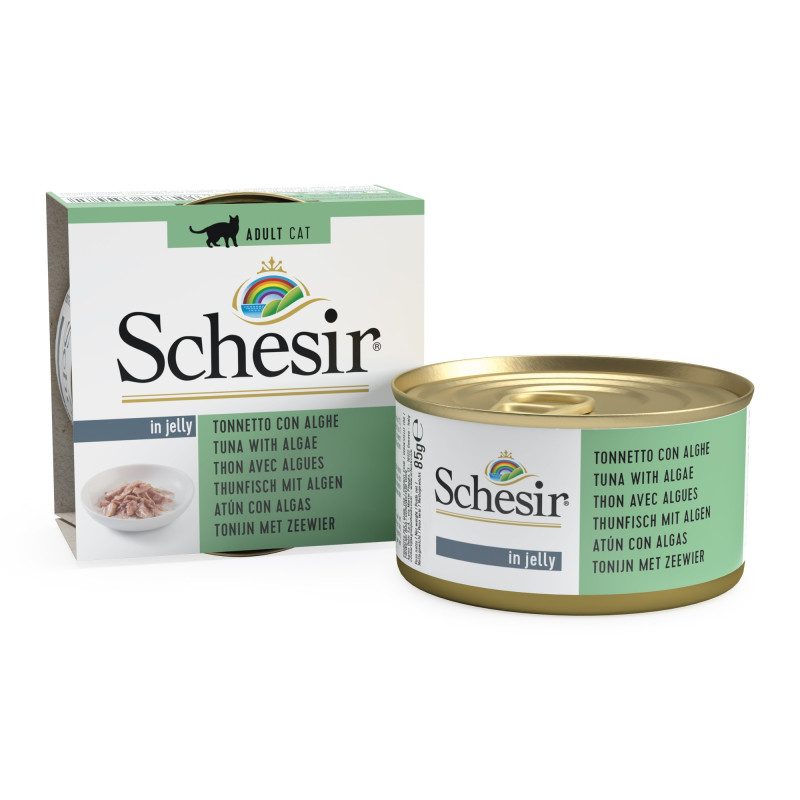 Schesir exclu web - Pack de 6 boites x 85g chat en gelée Thon et algues boite