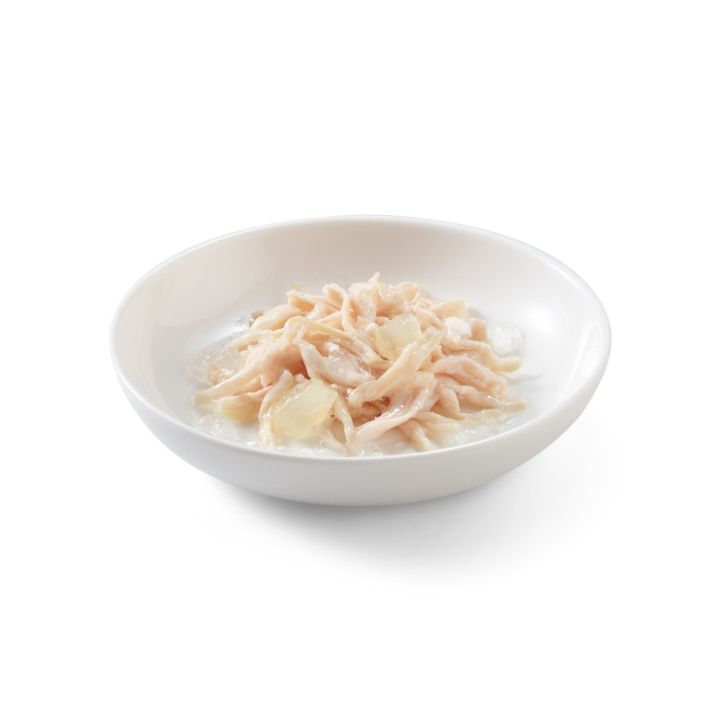 Schesir exclu web - Pack de 6 boites x 85g chaton en gelée Poulet et Aloès assiette