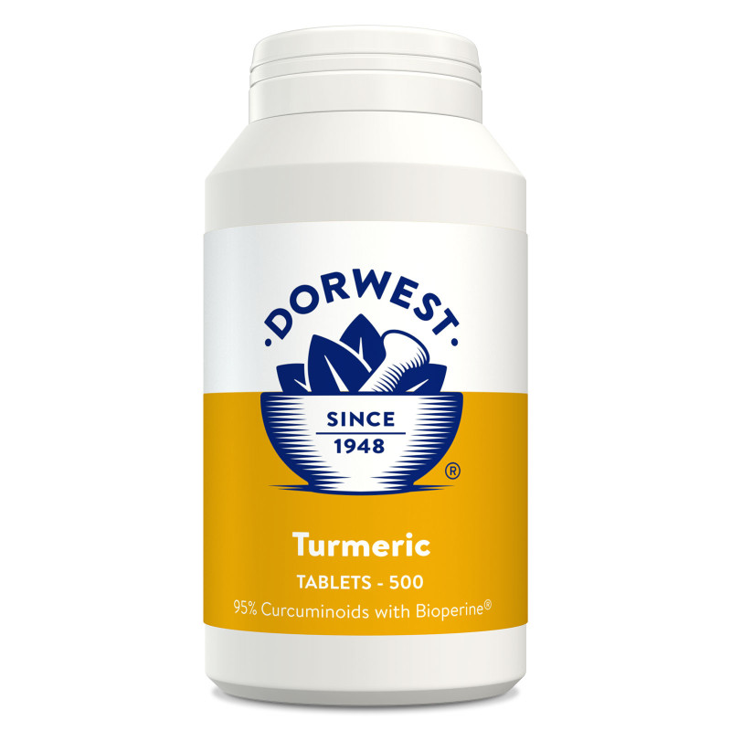 Curcuma ( Turmeric ) 500 - Dorwest