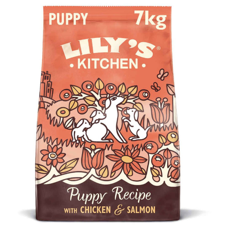 Croquettes pour chiots Sans Céréales Poulet et Saumon Lily's Kitchen new look 7kg