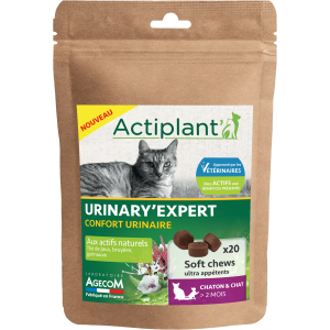 Soft chew Urinary'Expert Actiplant'