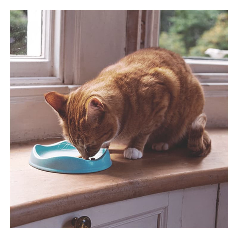 gamelle-chat-en-bambou-beco-pets