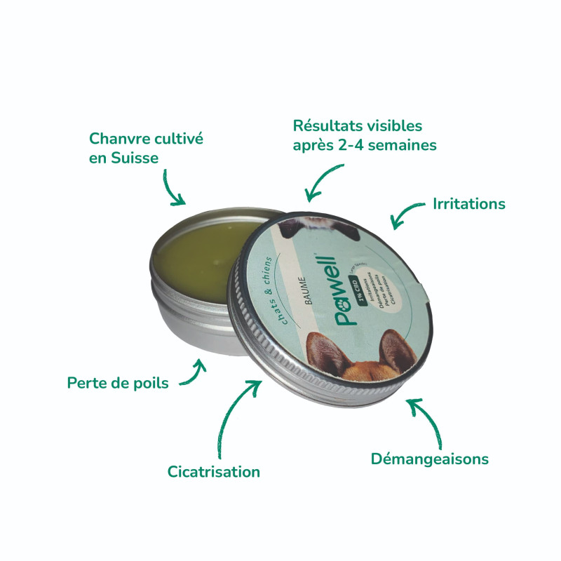 Baume-CBD-chien-CCN