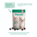 Friandises-cbd-chien-petit-posologie-ccn