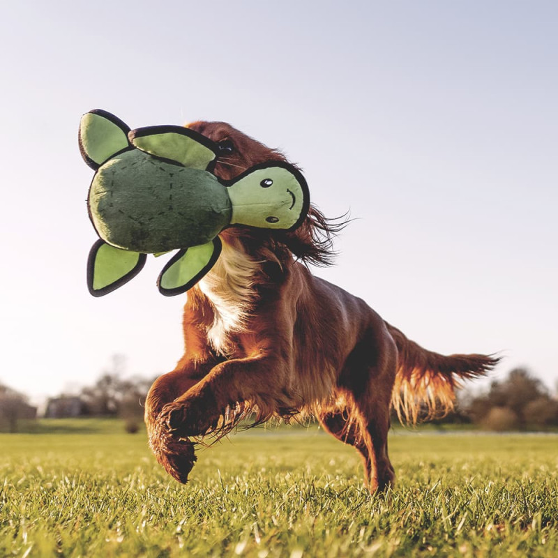 Peluche-chien-Tortue-Beco-Pets-Lifestyle_BTT-002