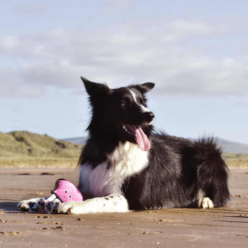 Peluche-chien-Poulpe-Beco-Pets-Lifestyle_BTT-M-OCTO
