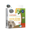 Vermifuge-naturel-chien-moyen-grand-biovetol-ccn