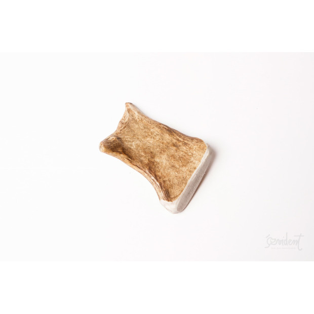 Bois-de-daim-S-Evident-CCN