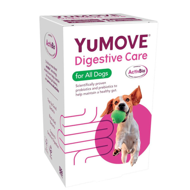 Yumove Digestive Care - Lintbells