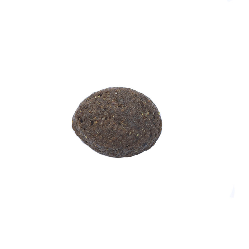 Aspect de la croquette