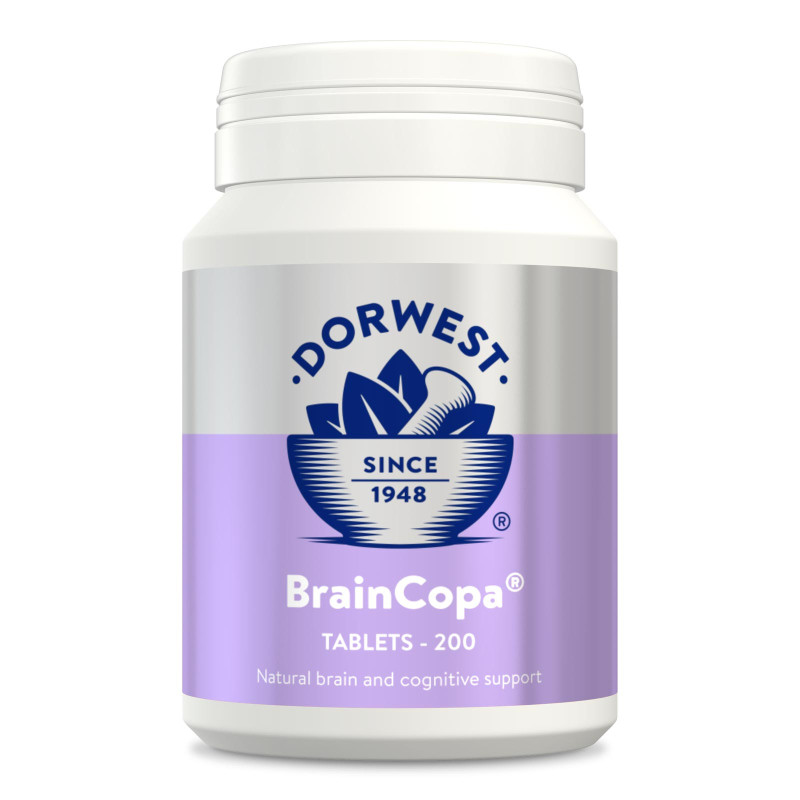BrainCopa Dorwest