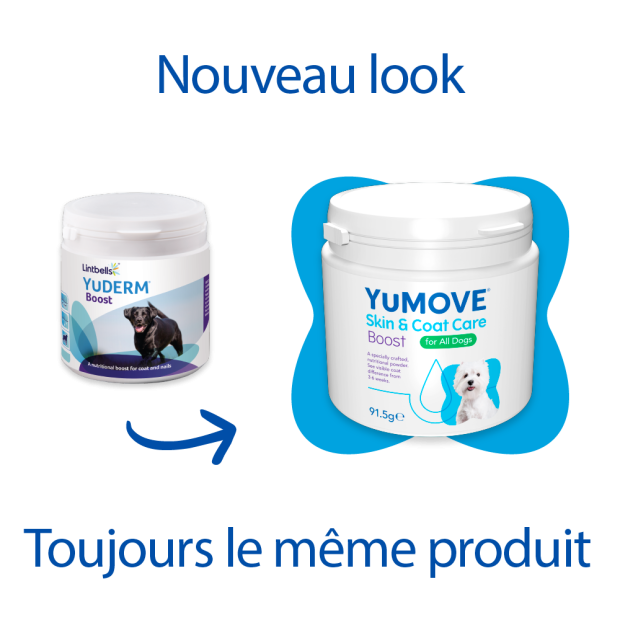 YuDERM Boost Yumega Lintbells accelere la pousse du poil