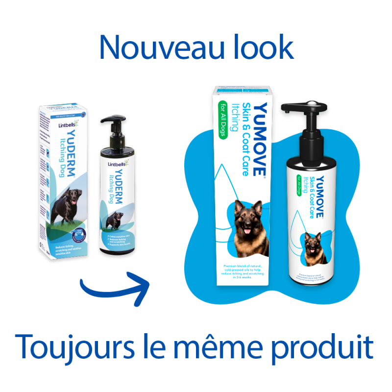 YuDERM Anti démangeaison chez le chien