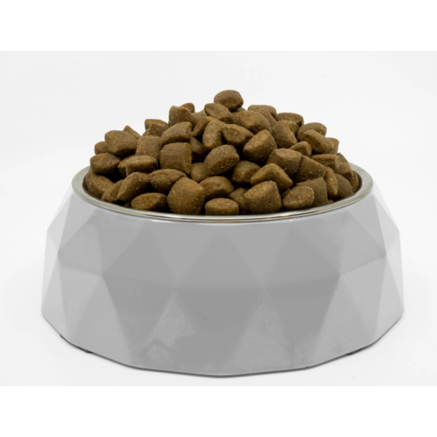 FaceCroquetteschienblancaupoissonblancsanscerealeschiotJuniortoutesracesNaturesProtectionbol