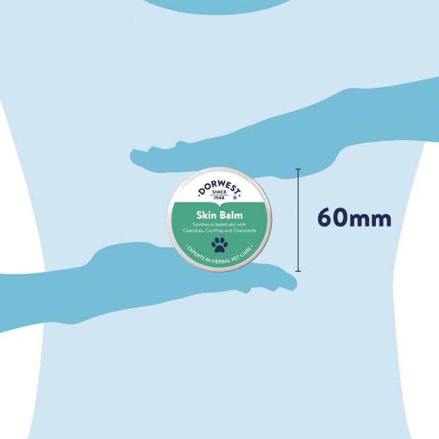 Baume camphre et calandula pour la peau Dorwest