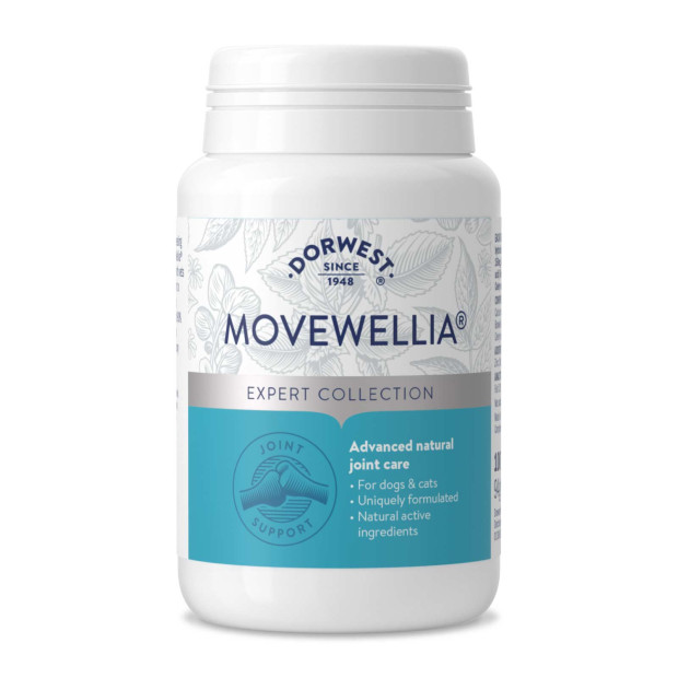 MoveWellia 100 comprimés