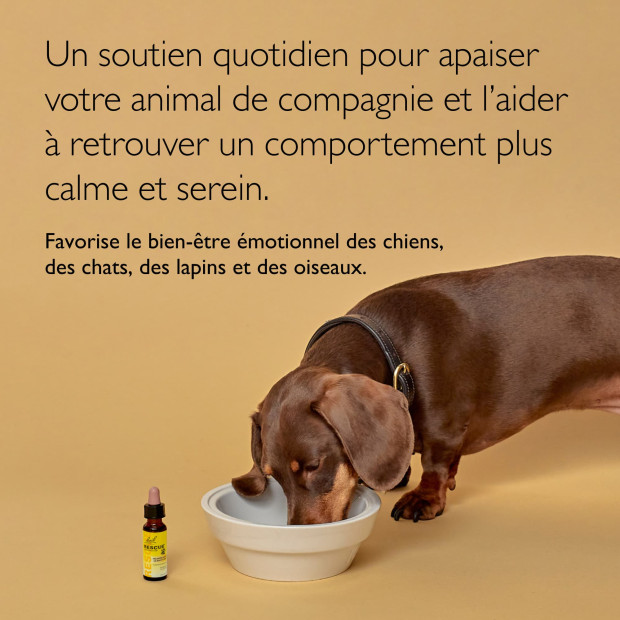 Rescue Pet Remedy Fleur de Bach : Anti-Stress et Anxieté