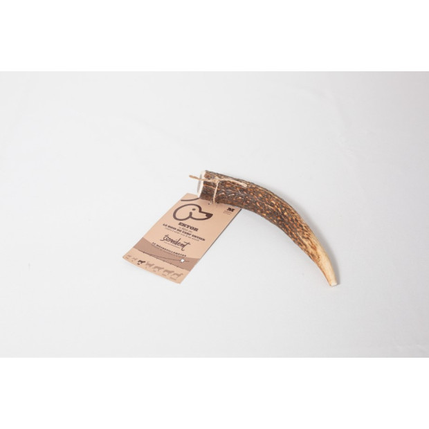 Bois de cerf M