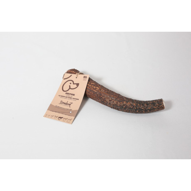 Bois de cerf XL