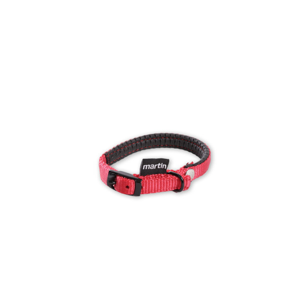 Collier nylon confort chien Martin Sellier