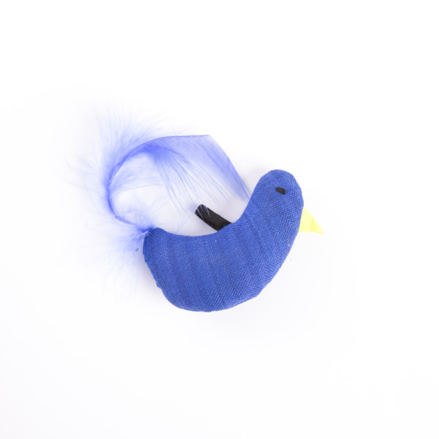 poule bleue