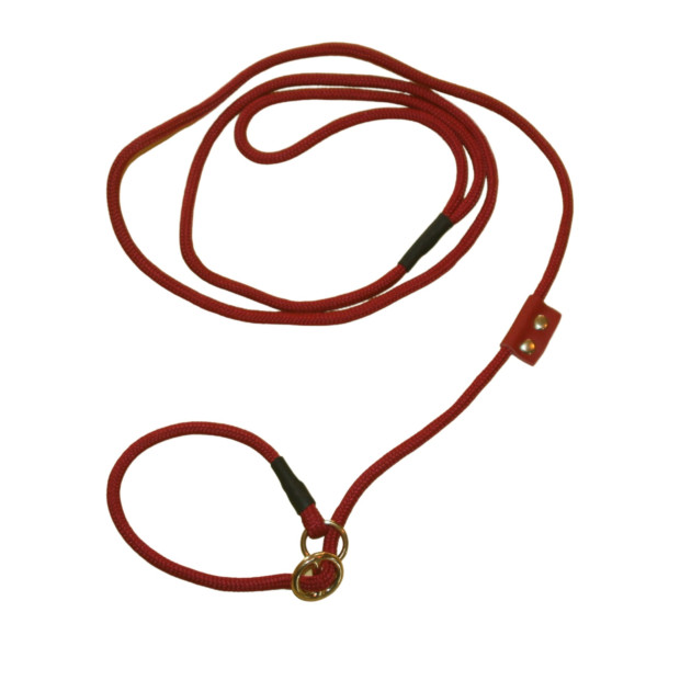 Laisse Lasso Carla