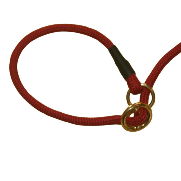 Laisse Lasso Carla