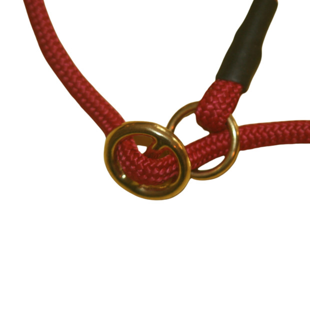 Laisse Lasso Carla