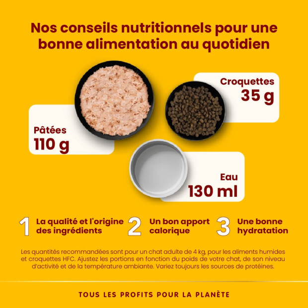 Boite HFC Natural pâtée pour chat Almo Nature viande