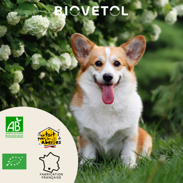 Alt'vers bouchées bio pour chiens Biovetol