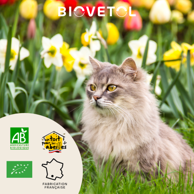 Alt'vers bouchées bio pour chats Biovetol