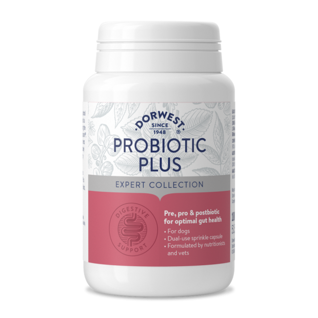 Probiotic Plus Dorwest pour une santé digestive optimale