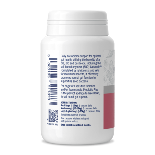Probiotic Plus Dorwest pour une santé digestive optimale