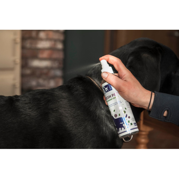 Spray parfumant TRM pour chien