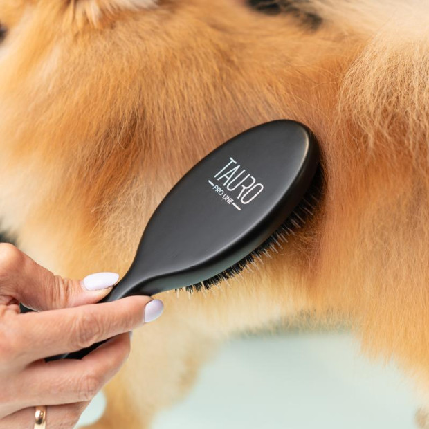 Brosse prestige Tauro Pro Line