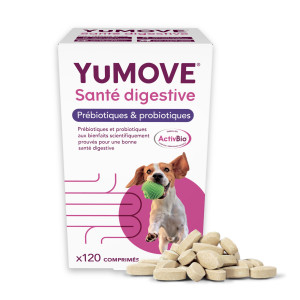 YuDIGEST Lintbells, Diarrhées et problèmes digestifs