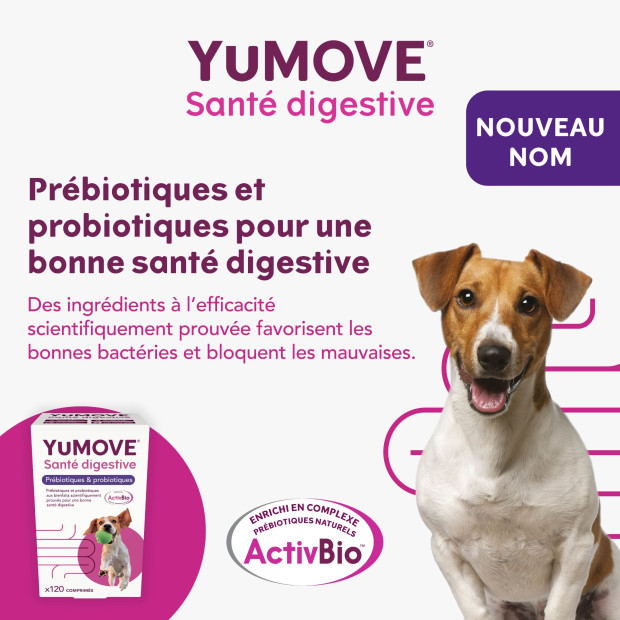 YuDIGEST Lintbells, Diarrhées et problèmes digestifs