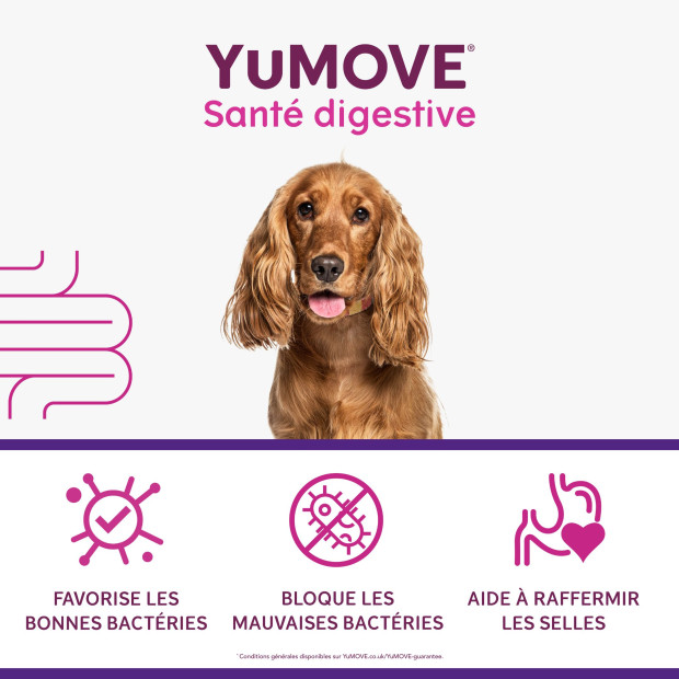 YuDIGEST Lintbells, Diarrhées et problèmes digestifs