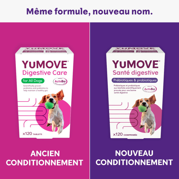 YuDIGEST Lintbells, Diarrhées et problèmes digestifs